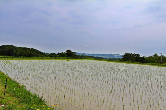 IMG_4041(HDR)