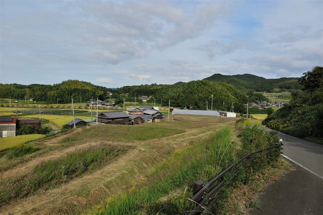IMG_5880 (2)