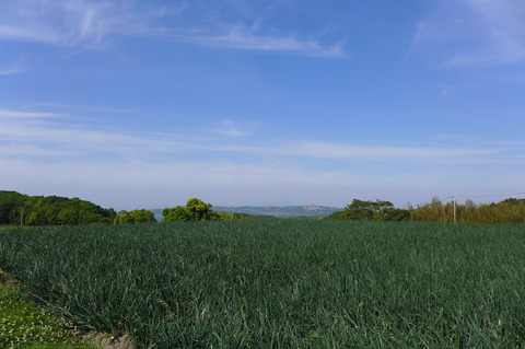 P1100229