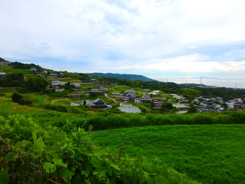 P6182207