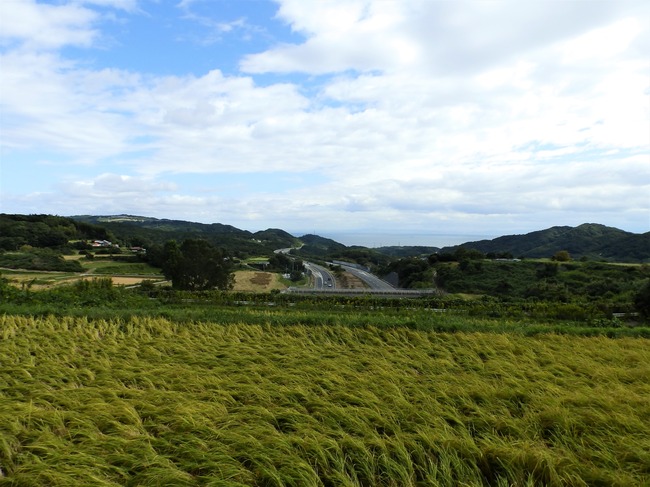 PA060144 (2)