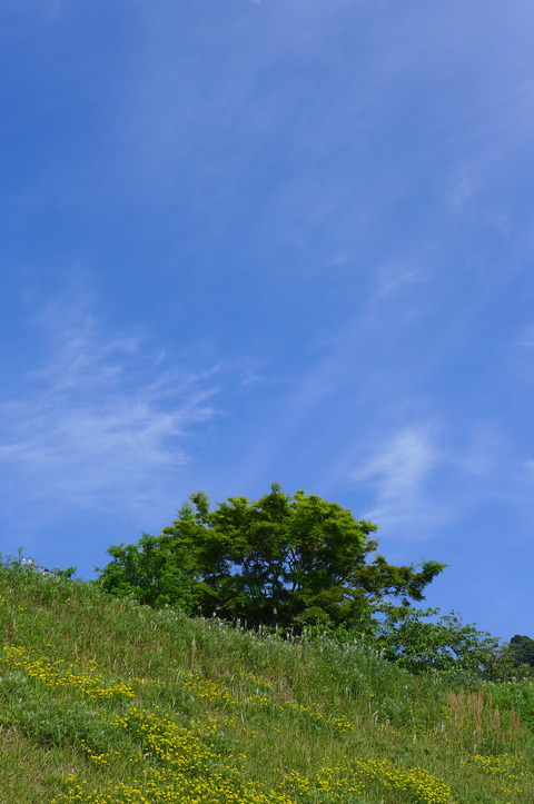 P1100250