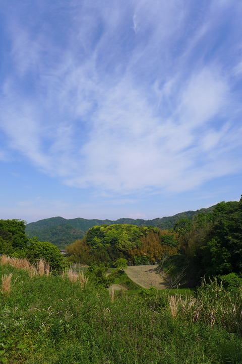 P1100224