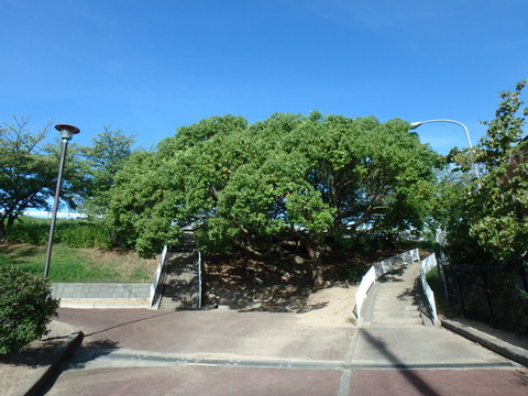 P8182327