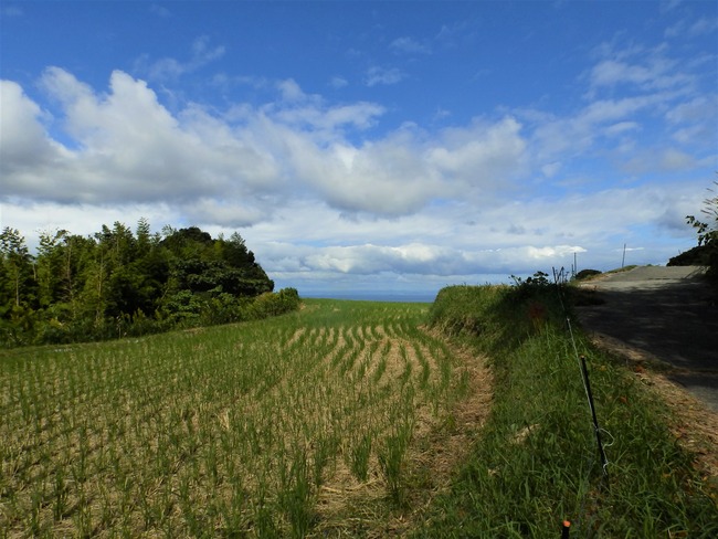 PA060104 (2)