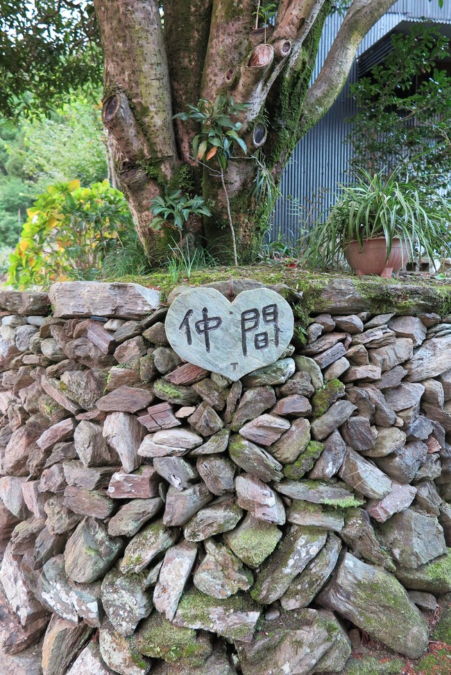 IMG_5740 (2)