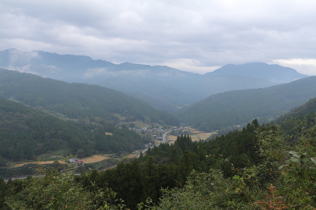 IMG_4969 (1)