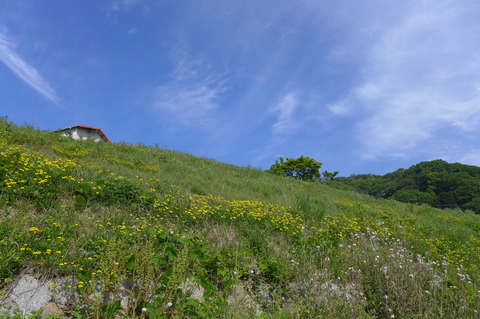 P1100247