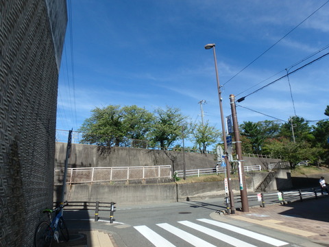P8182330