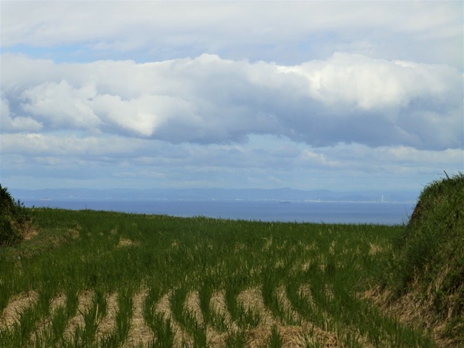 PA060105 (2)