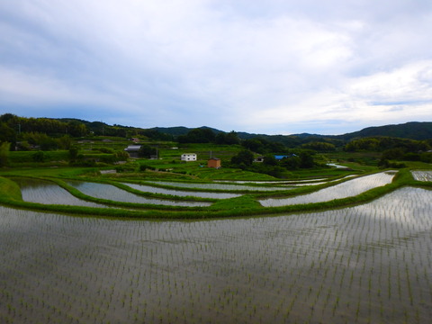 P6182261