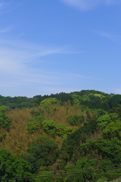 P1100219