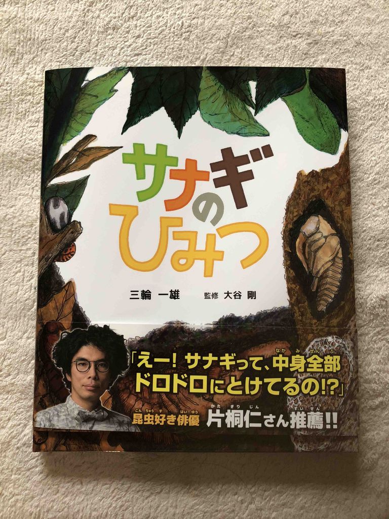カブトムシのサナギの中身 さなぎの中はドロドロの液体 ここからカブトムシができていくんですよ おススメの絵本も 主婦つきこのインドア スタイル