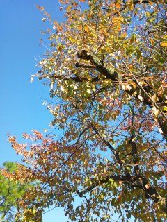 20131115