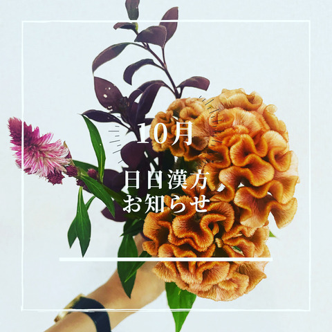 D6363A48-CB8F-4B25-BEB2-FAE1DAD30442