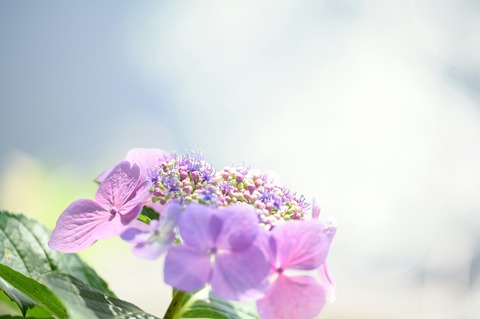 atsushi-tsubokura-I-VxJc0RgI4-unsplash