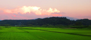 田園風景横長夕暮れ