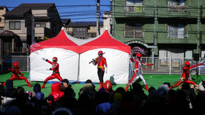 d981215a.jpg