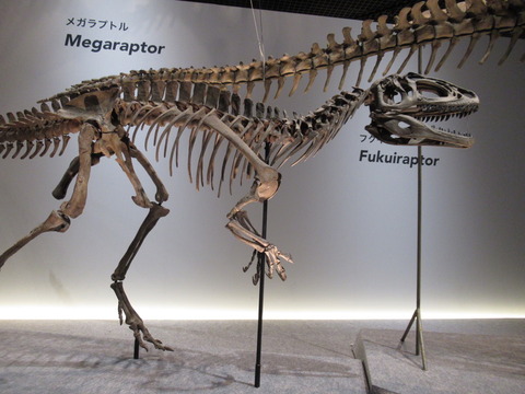 7ECE9897-3140-4C9F-BFB1-3874050D6170_1_105_c