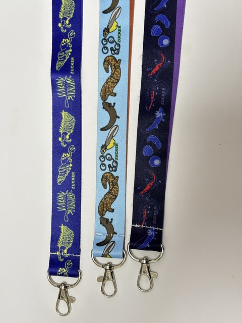 写真 2025-06-29 23 33 53