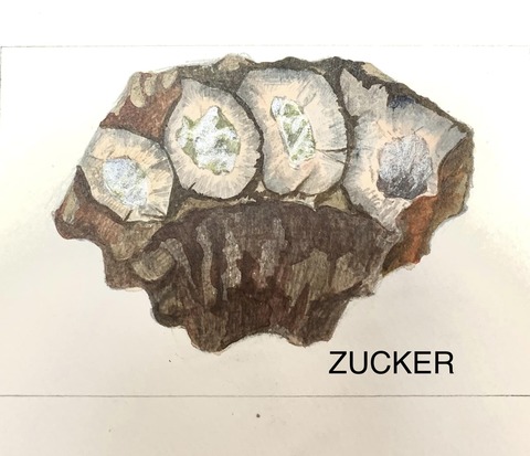 406403761_6351471344952792_3847013883437732581_n