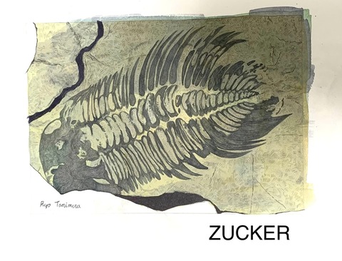 407391772_6351471231619470_314746924673914239_n