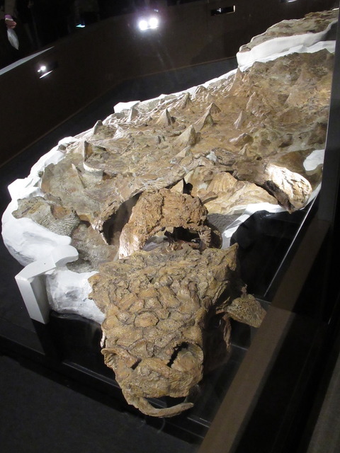 E05164FD-315F-435E-936E-8C3DFAF29846_1_105_c