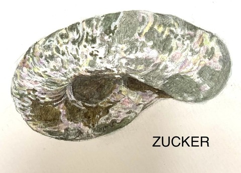 406410723_6351471311619462_6590745027030026825_n