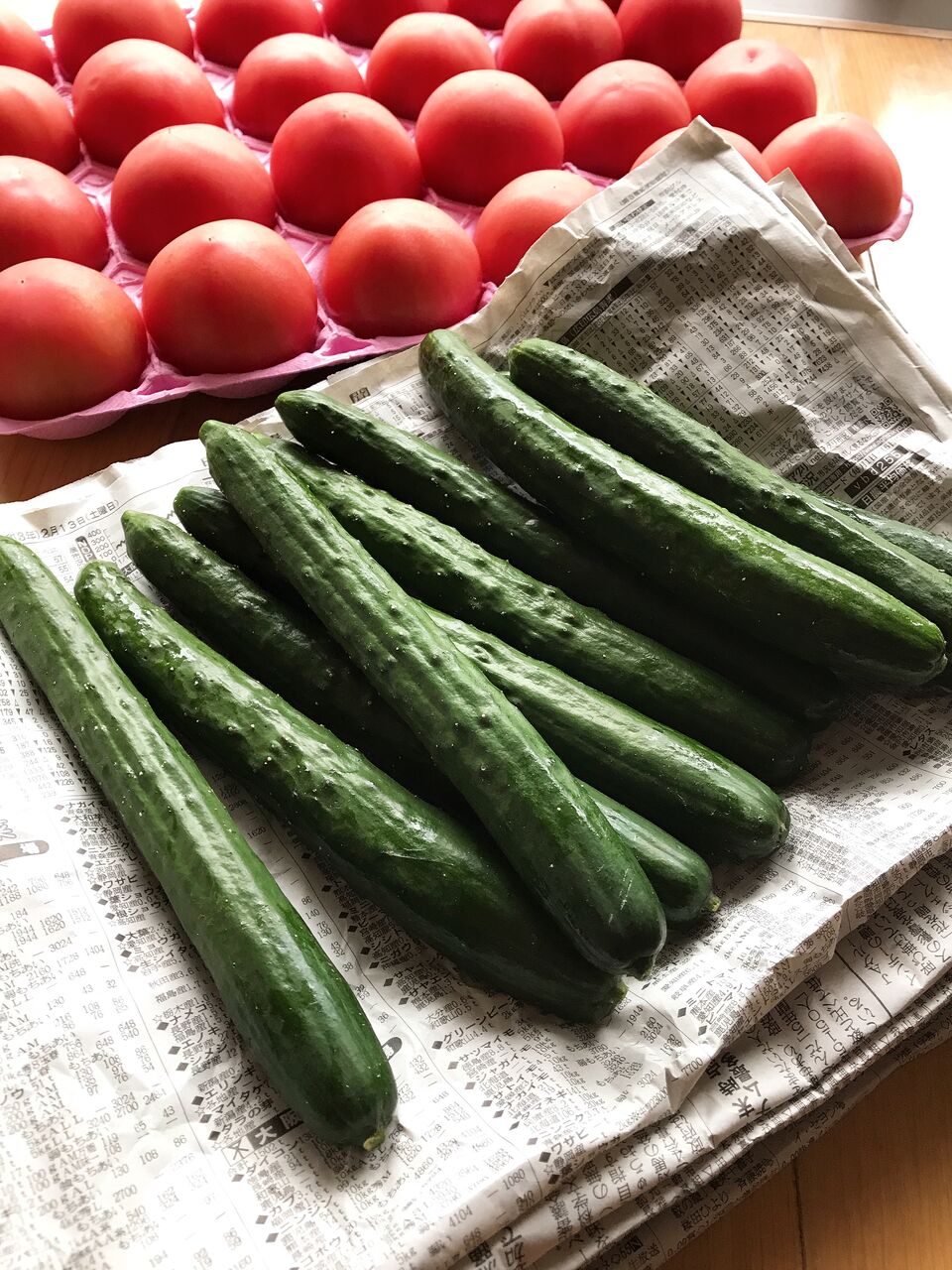 ごはんにも美味しい おつまみお惣菜 冬春きゅうりのピリ辛じゃばら イェジンさんち 예진의 엄마 손