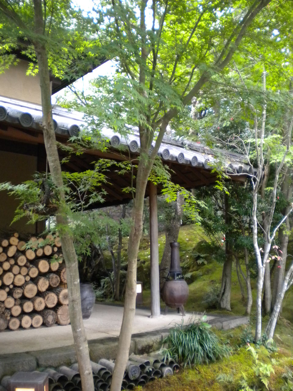 湯布院 山荘無量塔 Murata お夕飯 イェジンさんち 예진의 엄마 손