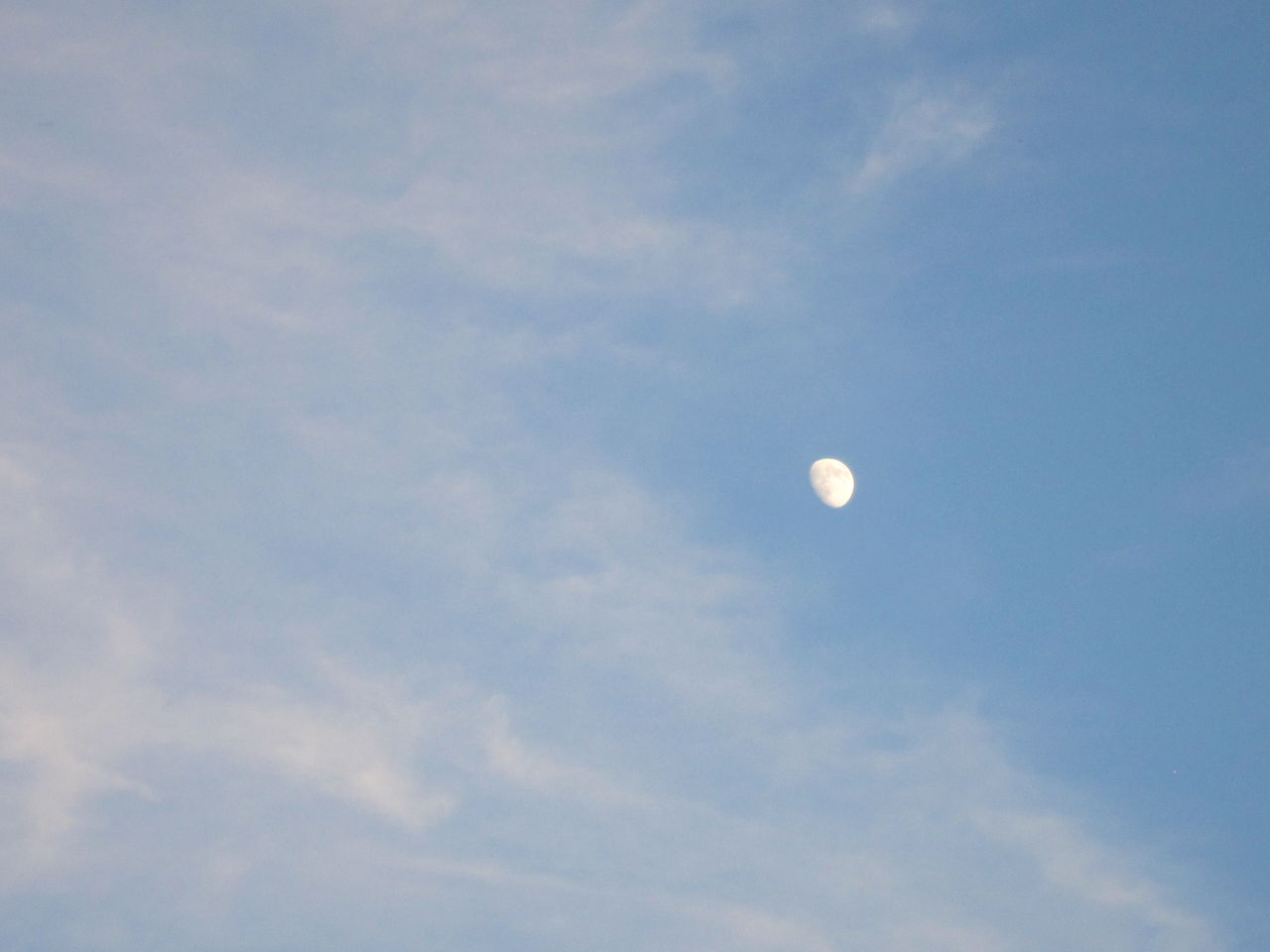白夜月 Zujaのblogごっこ
