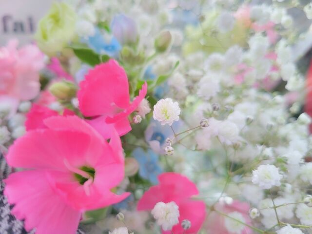 宝塚 花組 元トップ娘役華優希 事務所 花の道でホットにまったりと