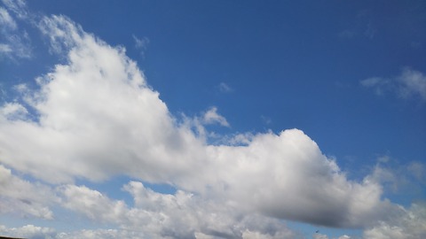DSC_2591