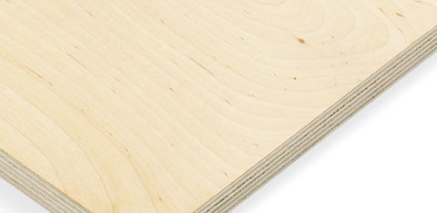 ホワイトバーチ