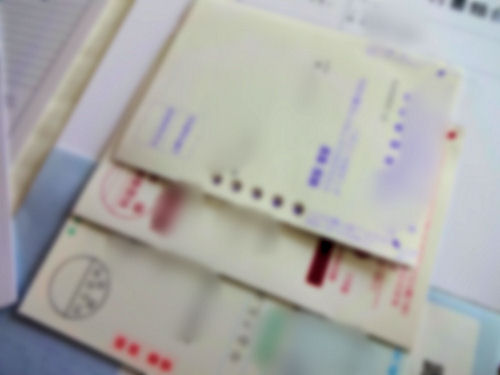 ネット納税奇譚 無職のおっさん渡世日記