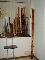 7f11e375.jpg
