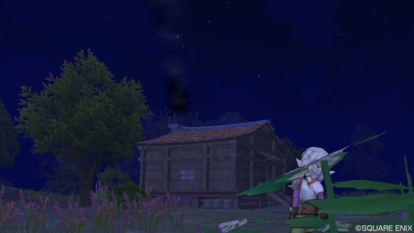 ランガーオ村の王者 村の聖地 ほぼ日刊 フェニアンサイクル ドラクエ10攻略