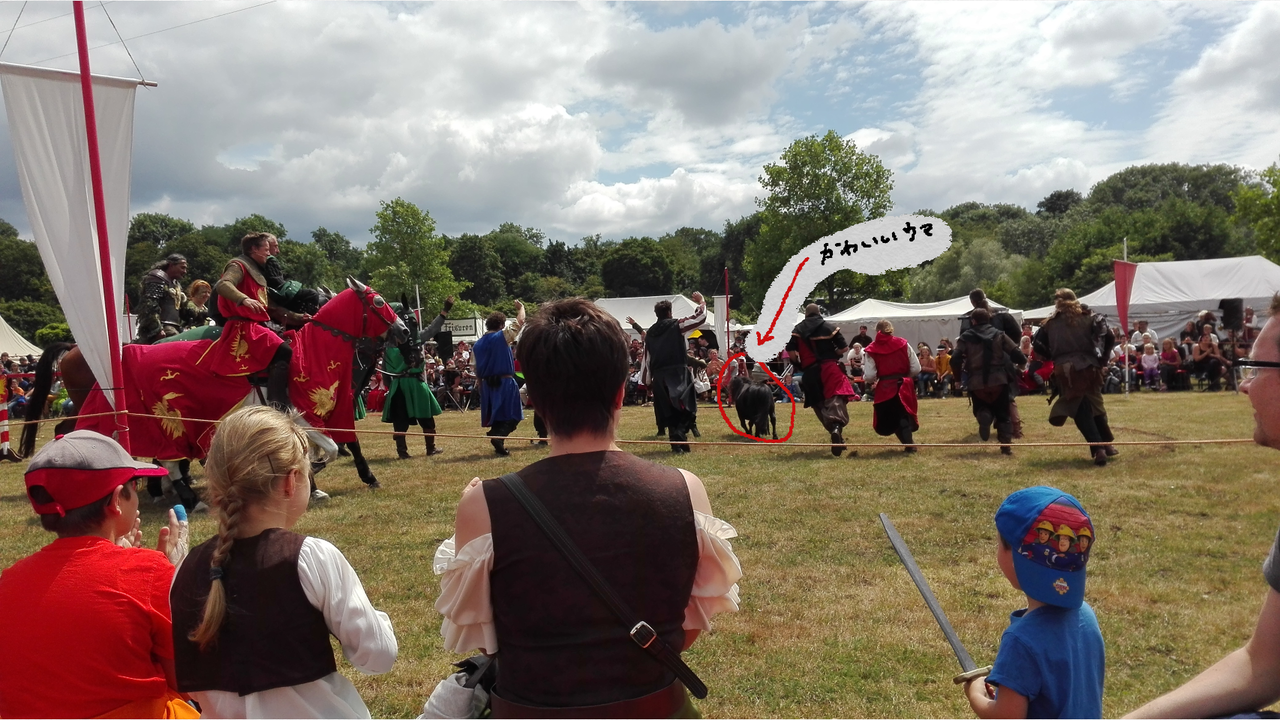 日本人の知らないドイツの世界 中世風イベント ドイツか日本か