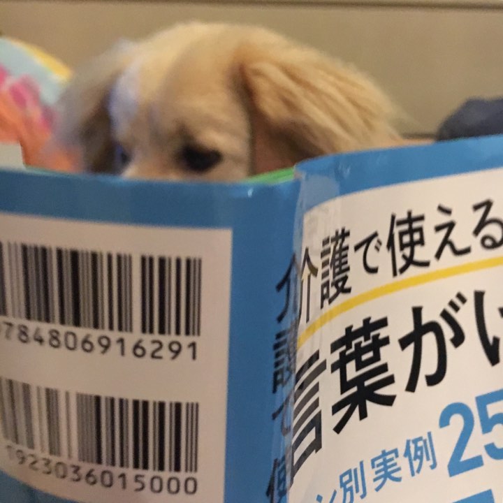 介護で使える言葉がけシーン別実例250 笑わせてなんぼの介護福祉士