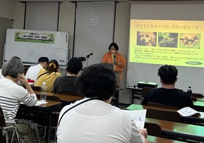warasendai11