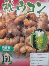 �����󡡵庬