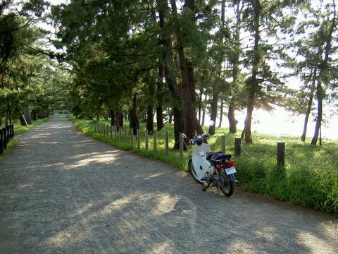 PICT3335