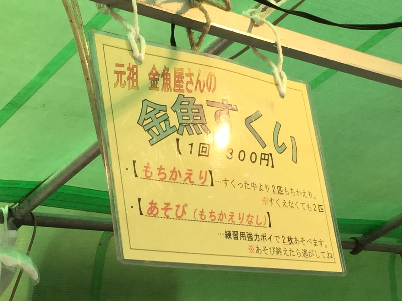 逗子駅前屋台村の金魚すくいの一考察 ｰｰ Zushi 逗子 な生活