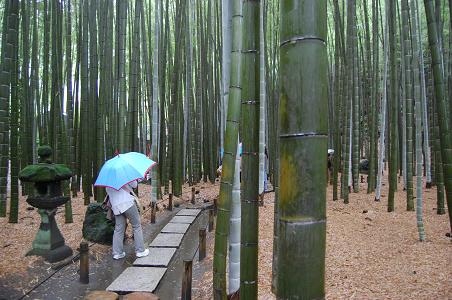 報国寺坐禅会 Zusitto逗子 てくたく日記