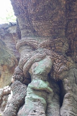 DǮ��SC_0404 (18)