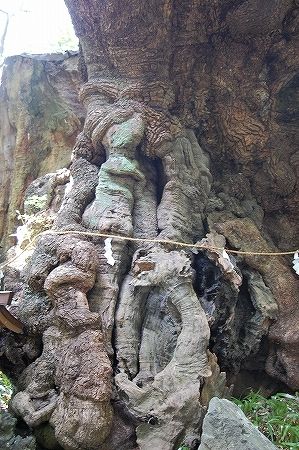 DǮ��SC_0404 (17)