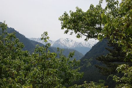 DSC_0302