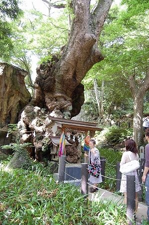 DǮ��SC_0404 (14)