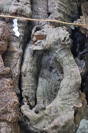 DǮ��SC_0404 (19)