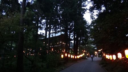 DSC00713